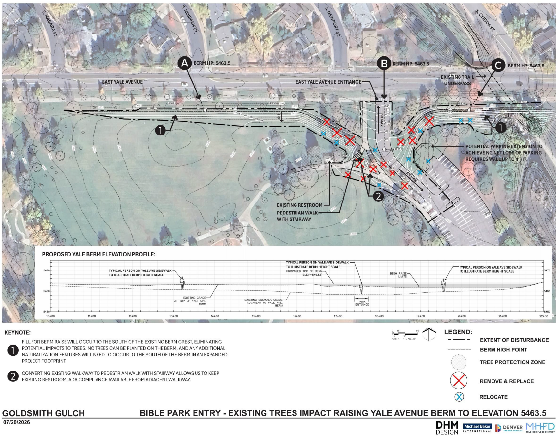 Image of the northern end of Bible park showcasing the berm elevation changes and tree removal and relocation necessary to improve flooding risks. 